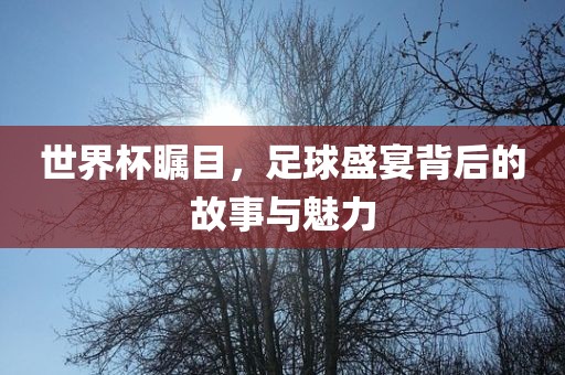 世界杯瞩目，足球盛宴背后的故事与魅力