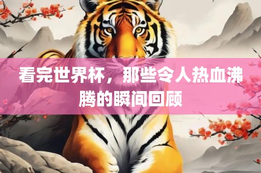 热血沸腾的瞬间回顾