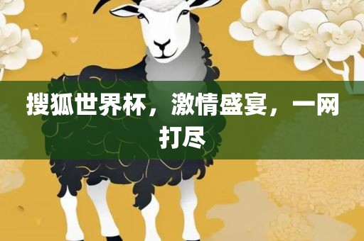 搜狐世界杯，激情盛宴，一网打尽