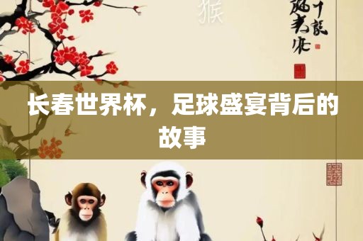 长春世界杯，足球盛宴背后的故事眉山市正发家政服务有限公司