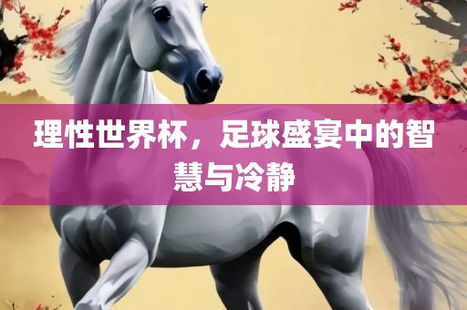 理性世界杯，足球盛宴中的智慧与冷静眉山市正发家政服务有限公司
