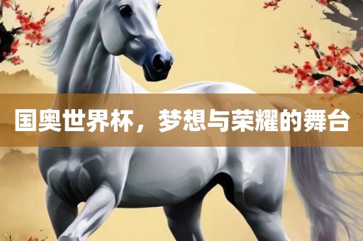 国奥世界杯，梦想与荣耀的舞台