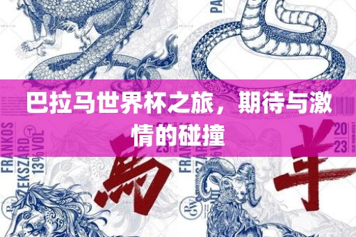 巴拉马世界杯之旅，期待与激情的碰撞