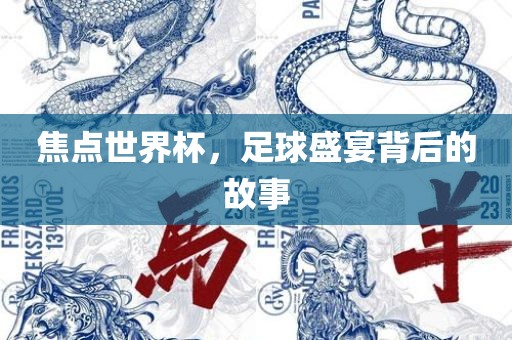 焦点世界杯，足球盛宴背后的故事眉山市正发家政服务有限公司