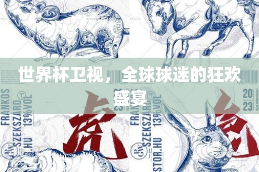 世界杯卫视，全球球迷的狂欢盛宴