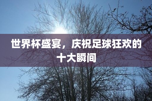 世界杯盛宴，庆祝足球狂欢的十大瞬间