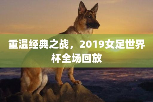 重温经典之战，2019女足世界杯全场回放眉山市正发家政服务有限公司