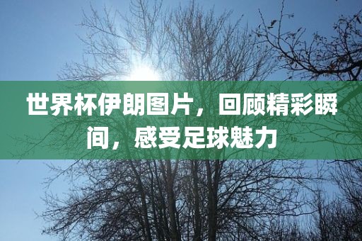 世界杯伊朗图片，回顾精彩瞬间，感受足球魅力