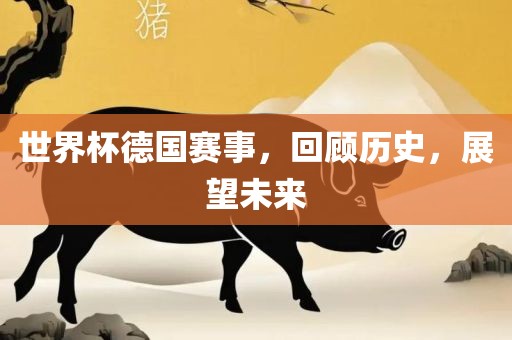 世界杯德国赛事，回顾历史，展望未来眉山市正发家政服务有限公司