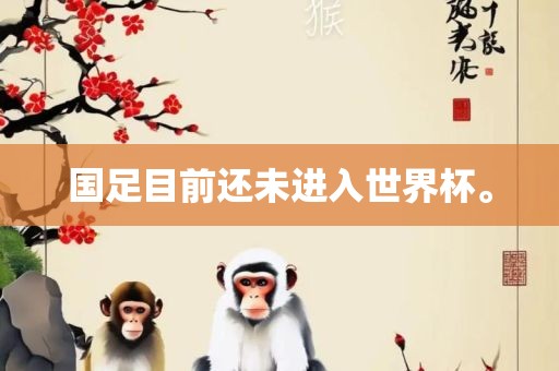 国足目前还未进入世界眉山市正发家政服务有限公司杯。