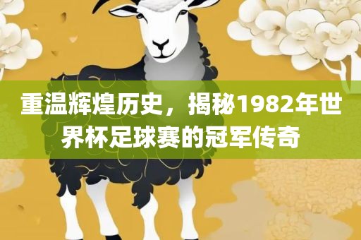 重温辉煌历史，揭秘1982年世界杯足球赛的冠军传奇眉山市正发家政服务有限公司