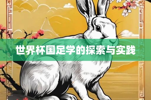 世界杯国足学的探索与实践