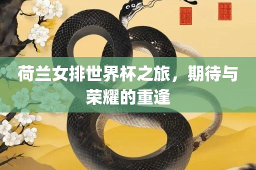 荷兰女排世界杯之旅，期待与荣耀的重逢