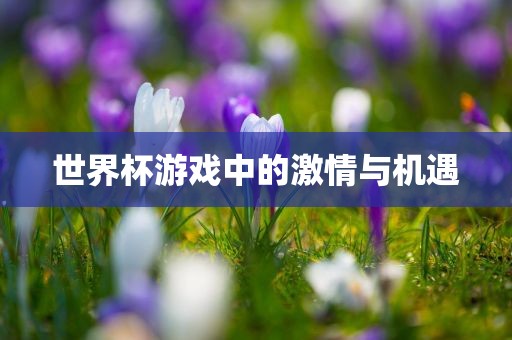 世界杯游戏中的激情与机遇