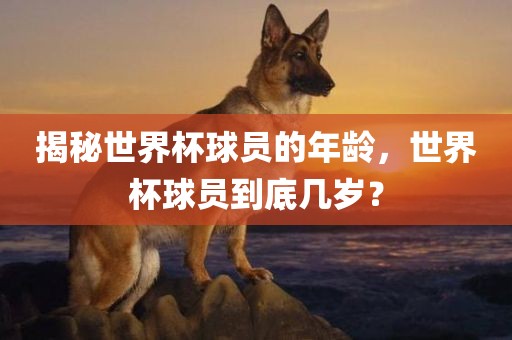 揭秘世界杯球员的年龄，世界杯球员到底几岁？眉山市正发家政服务有限公司