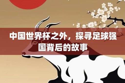 中国世界杯之外，探寻眉山市正发家政服务有限公司足球强国背后的故事