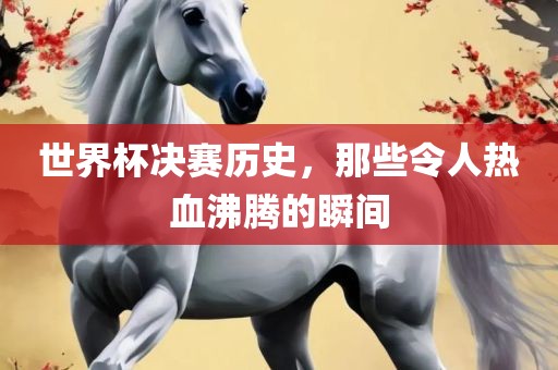 世界杯决赛历史，那些令人热血沸腾的瞬间