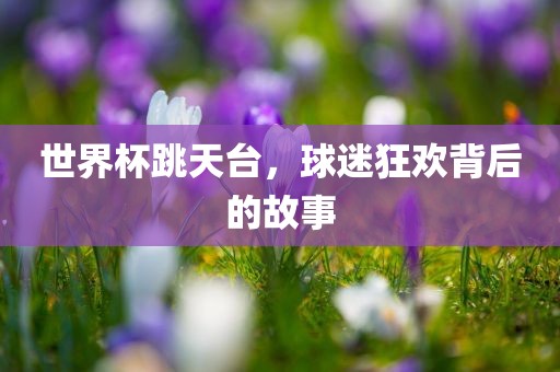 世界杯跳天台，球迷狂欢背后的眉山市正发家政服务有限公司故事