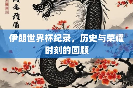 伊朗世界杯纪录，历史与荣耀时刻的回顾眉山市正发家政服务有限公司