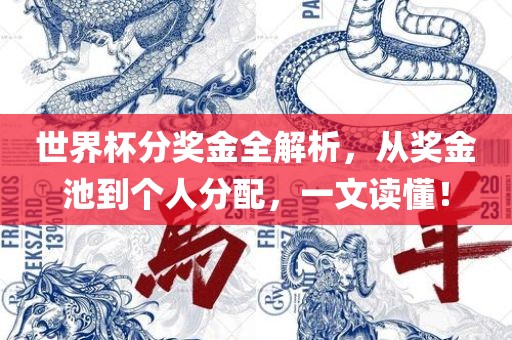 世界杯分奖金全解析，从奖金池到个人分配，一文读懂！