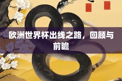 欧眉山市正发家政服务有限公司洲世界杯出线之路，回顾与前瞻