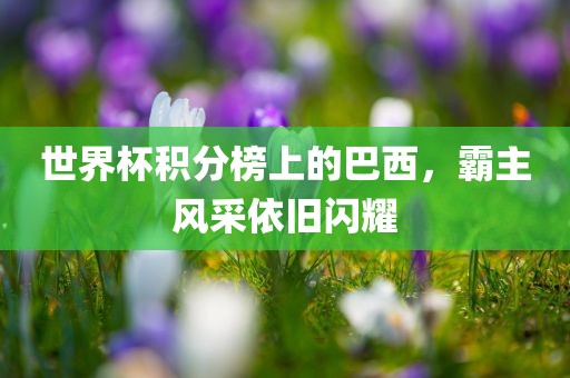 世界杯积分榜上的巴西，霸主风采依旧闪眉山市正发家政服务有限公司耀