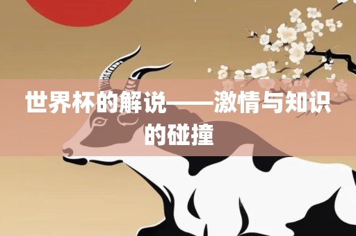 世界杯的解说——激情与知识的碰撞