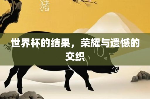 世界杯的结果，荣耀与遗憾的交织眉山市正发家政服务有限公司