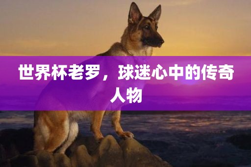 世界杯老罗，球迷心中的传奇人物眉山市正发家政服务有限公司