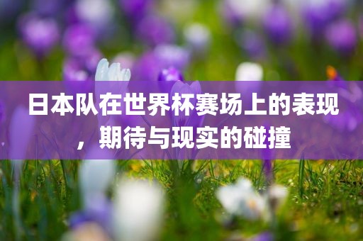 日本队在世界杯赛场上的表现，期待与现实的碰撞