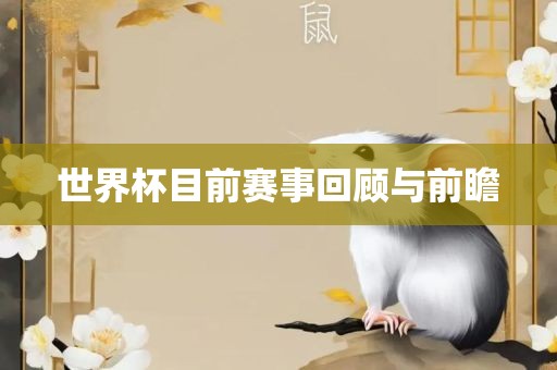 世界杯目前眉山市正发家政服务有限公司赛事回顾与前瞻