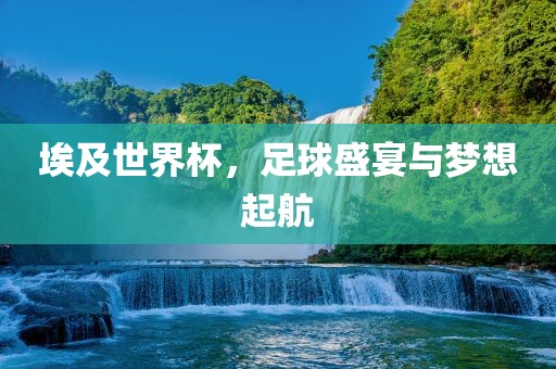 埃及世界杯，足球盛眉山市正发家政服务有限公司宴与梦想起航