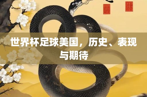 世界杯足球美国，历史、表现与期待眉山市正发家政服务有限公司
