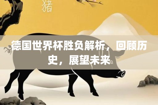 德国世界杯胜负解析，回顾历史，眉山市正发家政服务有限公司展望未来