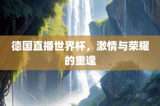德国直播世界杯，激情与荣耀眉山市正发家政服务有限公司的重逢
