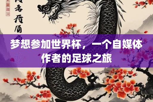 梦想参加世界杯，一个自媒体作者的足球之旅眉山市正发家政服务有限公司