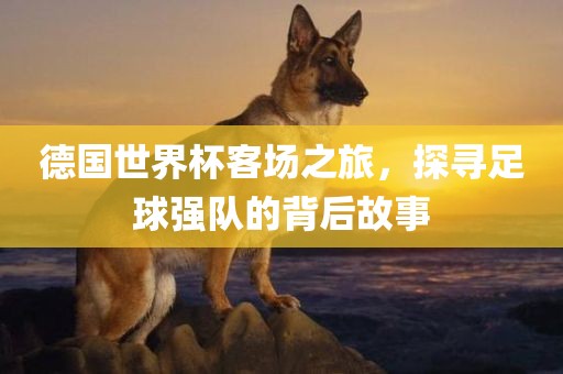 德国世界杯客场之旅，探寻足球强队的背后故事眉山市正发家政服务有限公司
