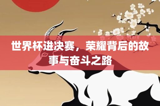 世界杯进决赛，荣耀背后的故事与奋斗之路