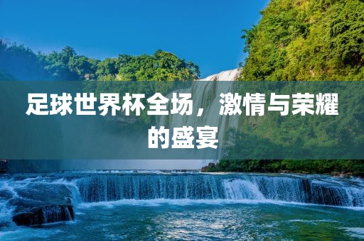 足球世界杯全场，激情与荣耀的盛宴眉山市正发家政服务有限公司