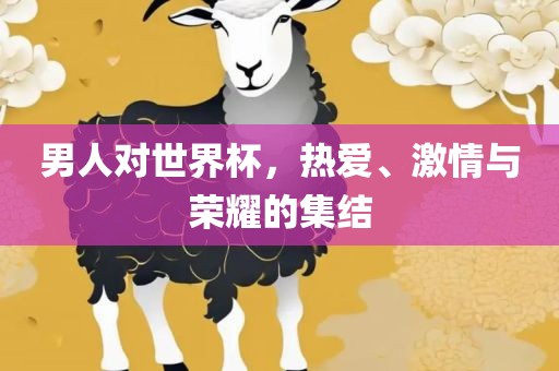 男人对世界杯，热爱、激情与荣耀的集结眉山市正发家政服务有限公司