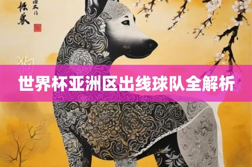 世界杯亚洲区出线球队全解析