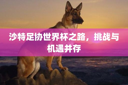 沙特足协世界杯之路，挑战与机遇并存眉山市正发家政服务有限公司