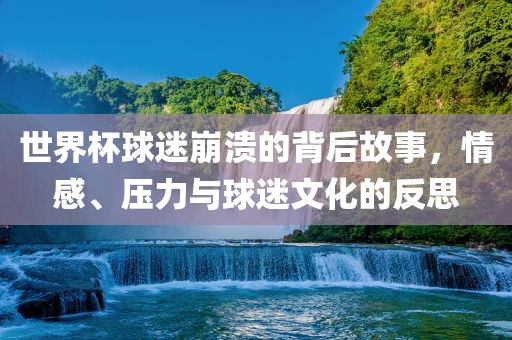世界杯球迷崩溃的背后故事，情感、压力与球迷文化的反思眉山市正发家政服务有限公司