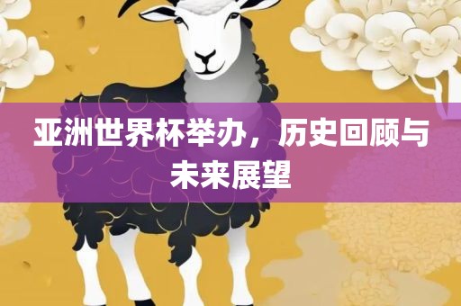 亚洲世界杯举办，历史回顾与未来展望