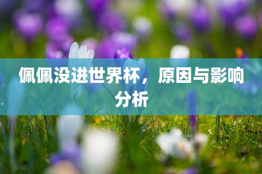 佩佩没进世界杯，原因与影响分析