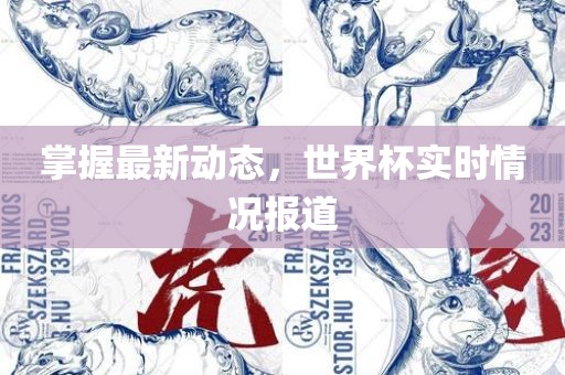 掌握最新动态，世界杯实时情况报道眉山市正发家政服务有限公司