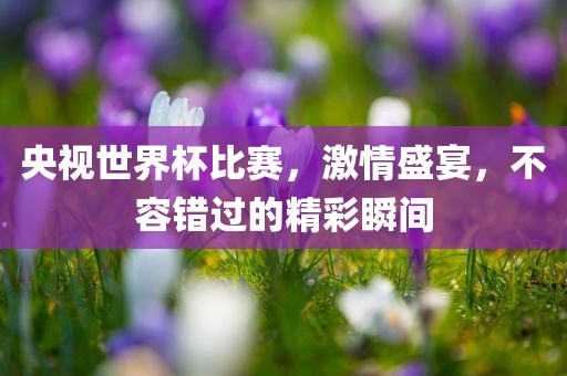 央视世界杯比赛，激情盛宴，不容错过的精彩瞬间