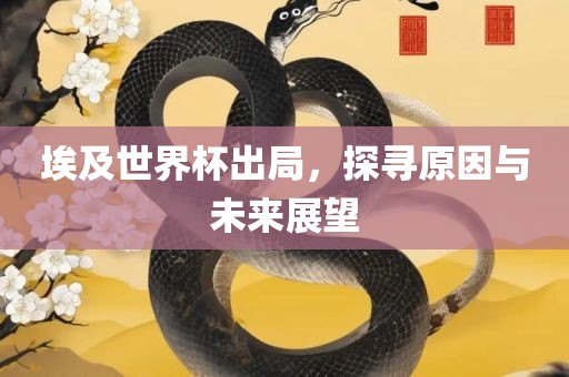 埃及世界杯出局，探寻原因与未来展望