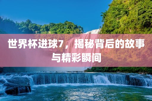 世界杯进球7，揭秘背后的故事与精彩瞬间眉山市正发家政服务有限公司