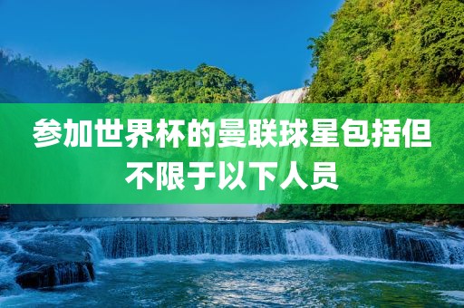 参加世界杯的曼联球星包括但不限于以下人员眉山市正发家政服务有限公司